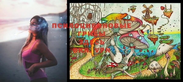 стафф Тайга